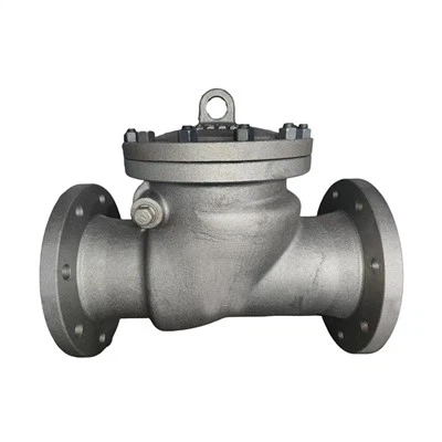 Check Valve